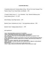 Referāts 'Romānika Doma baznīcas arhitektūrā', 7.