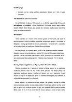 Referāts 'Bāreņi', 10.