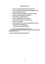 Referāts 'Bāreņi', 17.