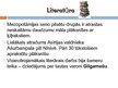 Prezentācija 'Divupes kultūra - rakstība, arhitektūra', 12.