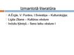Prezentācija 'Divupes kultūra - rakstība, arhitektūra', 26.