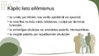 Prezentācija 'Politkorektums un eifemizācija mūsdienu lietišķajā saskarsmē', 11.