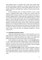 Konspekts 'Zvērinātu revidentu ētikas kodekss', 4.