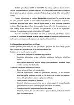 Konspekts 'Zvērinātu revidentu ētikas kodekss', 5.