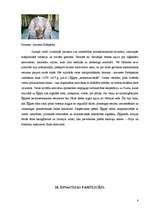 Referāts 'Senā Ēģipte', 8.