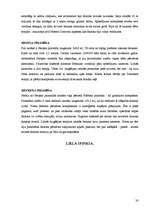 Referāts 'Senā Ēģipte', 20.