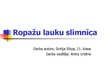 Referāts 'Ropažu novada lauka slimnīca laika posmā no 1960. līdz 1964.gadam', 30.
