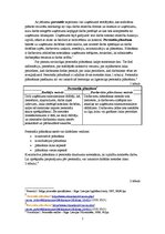 Konspekts 'Darba resursu plānošanas pamatprincipi', 2.