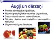 Prezentācija 'Uzturs un vēzis', 3.