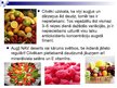Prezentācija 'Uzturs un vēzis', 15.
