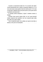 Referāts 'Āfrikas valsts Džibuti', 10.