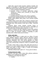 Konspekts 'Komandas vadīšana sacensībās', 5.