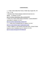 Referāts 'Partiju sponsorēšana no valsts budžeta', 7.