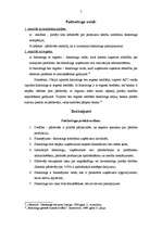 Referāts 'Faktorings', 7.