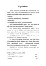 Biznesa plāns 'Atpūtas nams "AHA"', 1.