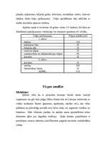 Biznesa plāns 'Atpūtas nams "AHA"', 7.