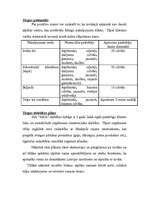 Biznesa plāns 'Atpūtas nams "AHA"', 8.