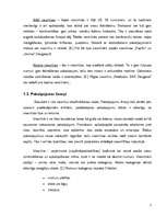 Diplomdarbs 'Viesnīcas "Park Hotel Latgola" darbības izvērtējums', 7.