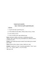 Konspekts 'Sporta konspekts pirmsskolā', 1.