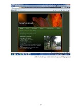 Prakses atskaite 'Kvalifikācijas prakses atskaite', 23.