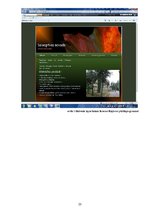 Prakses atskaite 'Kvalifikācijas prakses atskaite', 24.