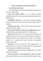 Diplomdarbs 'Mazo un vidējo uzņēmumu attīstība, Latvijai iestājoties Eiropas Savienībā', 93.