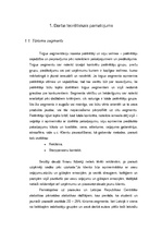 Referāts 'Latviešu jaunieši kā tūrisma segments: ceļošanas ieradumi un vēlmes', 5.