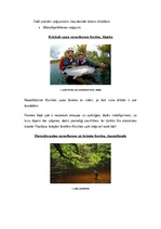 Referāts 'Latviešu jaunieši kā tūrisma segments: ceļošanas ieradumi un vēlmes', 12.