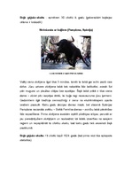 Referāts 'Latviešu jaunieši kā tūrisma segments: ceļošanas ieradumi un vēlmes', 14.