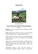 Referāts 'Latviešu jaunieši kā tūrisma segments: ceļošanas ieradumi un vēlmes', 17.