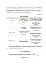 Diplomdarbs 'Uzņēmuma izmaksu optimizācija', 52.