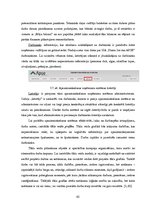 Diplomdarbs 'Uzņēmuma izmaksu optimizācija', 61.