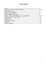 Referāts 'Mezopotāmija, Divupe', 1.