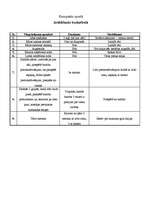 Konspekts 'Iesildīšanās basketbolā', 1.