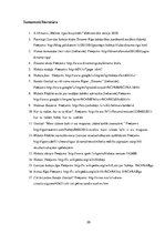 Referāts 'Hokeja attīstība un popularitāte Latvijā', 20.