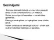 Prezentācija 'Agro metālu un bronzas laikmets Latvijā', 11.
