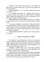 Prakses atskaite 'Prakse SIA "Vēl vairāk saules"', 6.