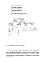 Prakses atskaite 'Prakse SIA "Vēl vairāk saules"', 8.