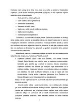 Prakses atskaite 'Prakse SIA "Vēl vairāk saules"', 11.