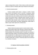 Prakses atskaite 'Prakse SIA "Vēl vairāk saules"', 19.