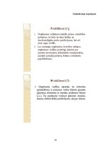 Prakses atskaite 'Prakse SIA "Vēl vairāk saules"', 30.