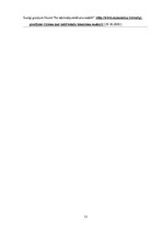 Referāts 'Iedzīvotāju ienākumu nodoklis Latvijā un tā uzlabošanas iespējas', 13.