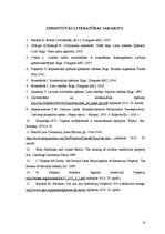 Referāts 'Intelektuālā īpašuma tiesība kā bezķermeniska lieta', 18.