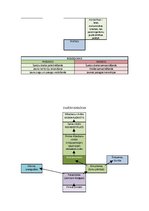 Konspekts 'Evolūcija', 4.