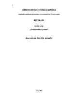 Referāts 'Apgrozāmo līdzekļu uzskaite', 1.