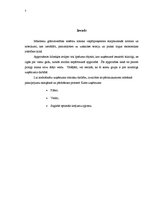 Referāts 'Apgrozāmo līdzekļu uzskaite', 3.