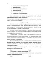 Referāts 'Apgrozāmo līdzekļu uzskaite', 6.