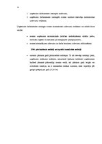 Referāts 'Apgrozāmo līdzekļu uzskaite', 14.