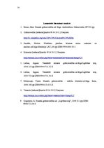 Referāts 'Apgrozāmo līdzekļu uzskaite', 19.