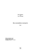 Eseja 'Berze automašīnās un autosportā', 1.